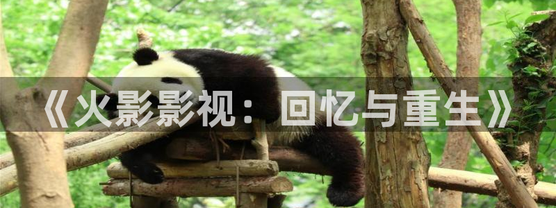 窝窝影视网免费观看电视剧