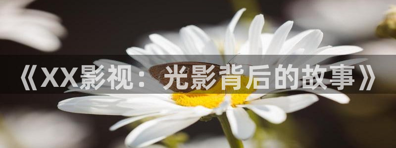 窝窝午夜大电影