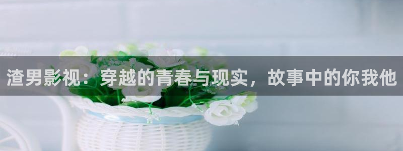 窝窝影视在线观看免费视频