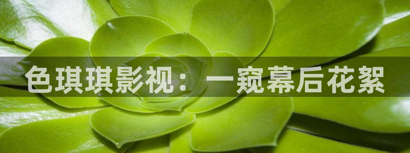 久久窝窝影院