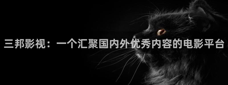 窝窝影院在线观看电视剧
