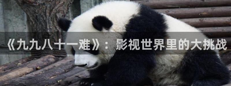 污版窝窝看视频在线观看