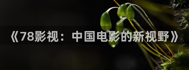 窝窝电影电视剧