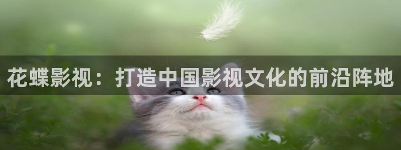窝窝免费观看全部电视剧
