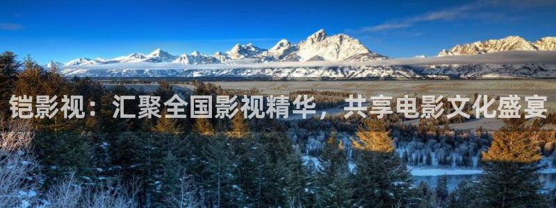 窝窝电影视频