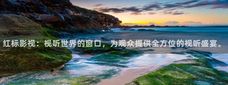 窝窝网在线观看免费观看电视剧