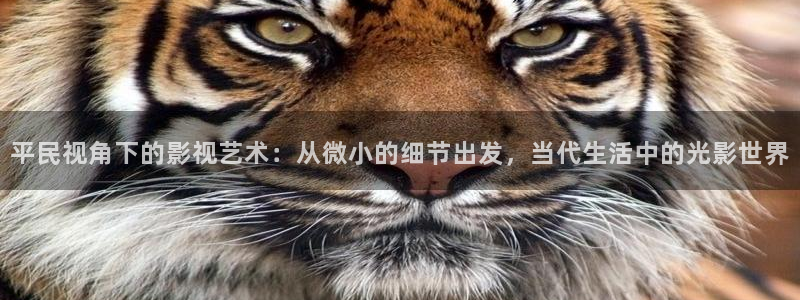窝窝影视在线播放免费观看电视剧