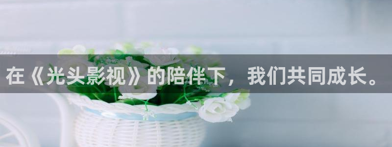 窝窝影院免费观看高清电视剧在线观看