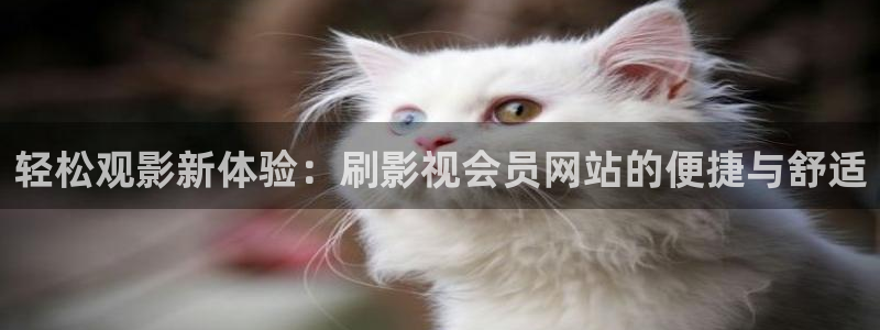 窝窝电视剧免费观看播放影视大全