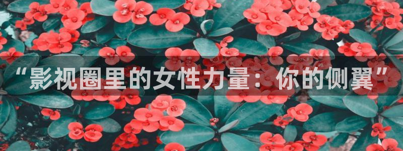 窝窝网电影电视剧最新