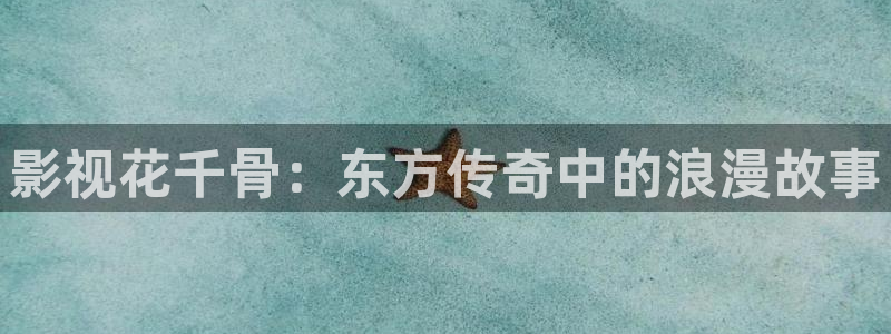 窝窝影视大全免费看电影电视剧