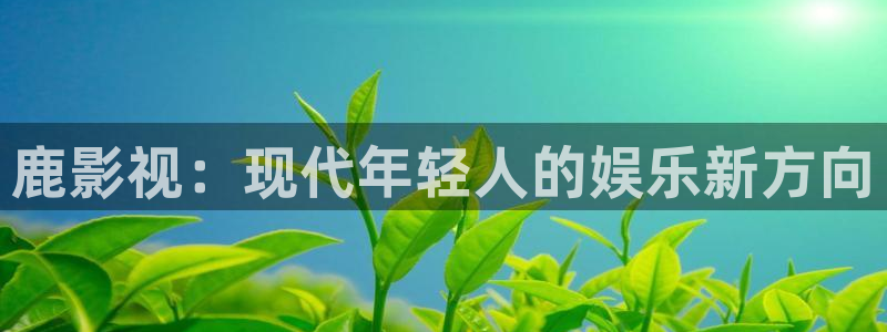 窝窝影院在线观看电视剧