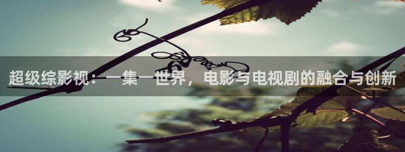 窝窝影视免费观看电视剧